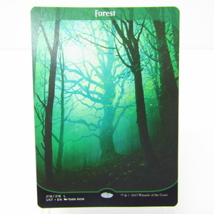 Forest 森 UST MTG ▼N4194