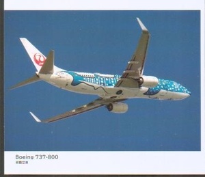 ★即D★JAL★那覇空港★Boeing 737-800★航空機★飛行機★ミニ カード★サイズ １０ｃｍ×８.5ｃｍ★