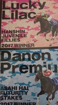 2017年当時物阪神競馬場JRA2017阪神ジュベナイルフィリーズ・朝日杯フューチュリティステークス 非売品クリアファイル 未使用/競走馬 競馬 _画像1