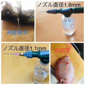 【死んでる魚の血が抜けるポンプ】究極の血抜き用ペットボトル加圧式ポンプセット