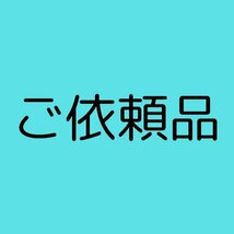 【ご依頼品】【同梱発送】カークランド ゴルフボール 1ダース 12個 パフォーマンスプラス V3 バラ売り_画像1