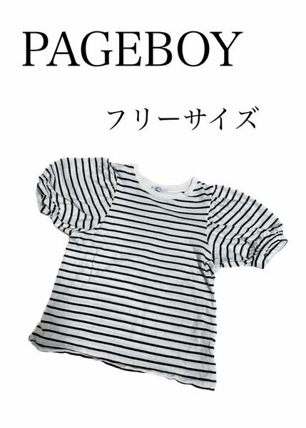 【美品】PAGEBOY ページボーイ　レディース　 トップス 半袖 Tシャツ ボーダー　バルーン　フリーサイズ