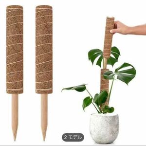 観葉植物　塊根植物　亀甲竜　モンステラ　フィロデンドロン　マドカヅラ　斑入り　2本セット　30センチ　まとめ売り　園芸支柱　天然素材