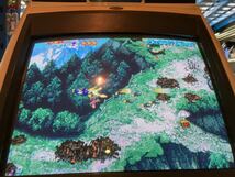 CAPCOM/CAVE プロギアの嵐　全純正 マザー付き　アーケード　ゲーム　基板　カプコン　ケイブ_画像10