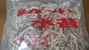  water moss approximately 100g length .~. New Zealand production free shipping mizgoke