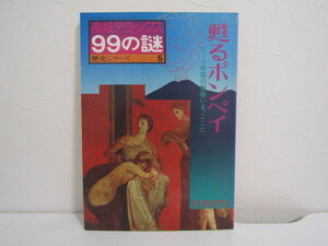 SU-17151 産報デラックス99の謎 歴史シリーズ 5 甦るポンペイ ローマ帝国の栄華いま、ここに 株式会社産報ジャーナル 本