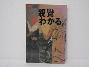 SU-17171 AERAMOOK 親鸞がわかる 朝日新聞社 本