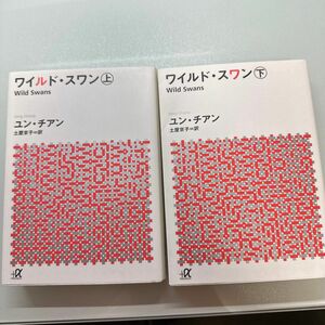 ワイルドスワン上・下セット 講談社　　＊多少の書き込みあり