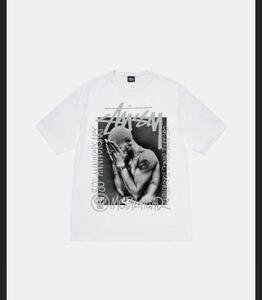 STUSSY コラボ GOLDIE METALHEADZ 30 周年 記念 限定 TEE Tシャツ 完売品