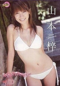 100円～♪ 国内正規品 山本梓 / あずあずトラベリング / グラビア アイドル [DVD]