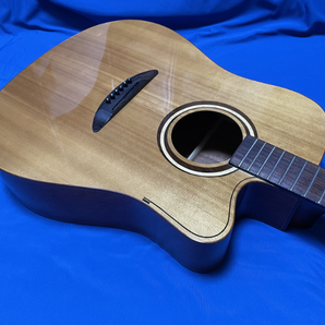 DCT Acoustic Guitar D-3100E 新古品の画像3