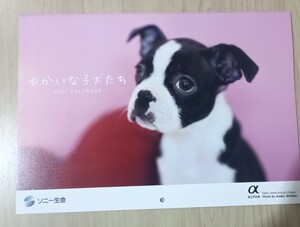 ソニー 生命 壁掛けカレンダー ゆかいな子犬たち　 カレンダー 　子犬　2024年 送料185円