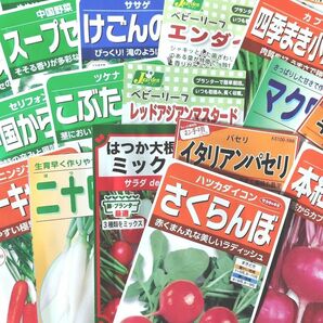 【タネ出品２】★選べる野菜の種★オマケ付★閲覧用(*^^*)