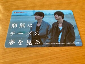 ★窮鼠はチーズの夢を見る★ ムビチケ【使用済み】　成田凌、関ジャニ∞・大倉忠義、行定勲監督　映画