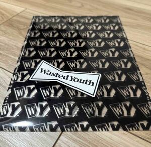 Wasted Youth ノベルティ クリアファイル ステッカー VERDY human made ヒューマンメイド