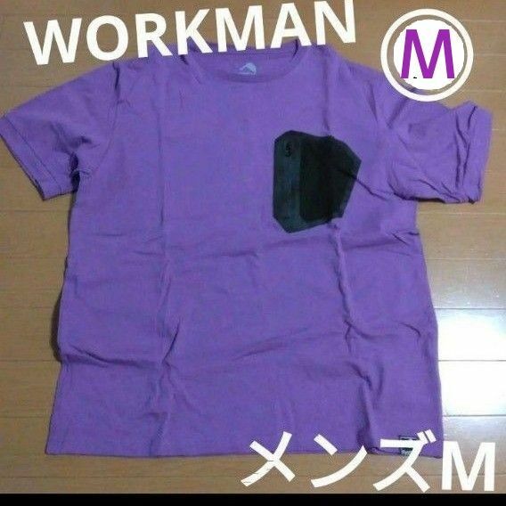 ワークマン　コットンビッグシルエット 半袖 Tシャツ　パープル　紫　 半袖Tシャツ　 Tシャツ　キャンプ　アウトドア