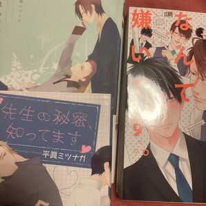 先生なんて嫌いです。 /ひなこ ）焼けありです。　先生の秘密、知ってます」 平眞ミツナガ