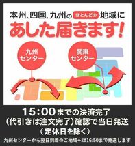 ブレーキパッド フロント エスティマ TCR11W E-TCR11W GF-TCR11W (要適合確認 平8年9月以降) 低ダスト フロントパッド_画像5