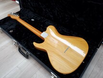 Don Grosh Retro Classic Vintage T 2012年製 /Suhr tom anderson james tyler などのハイエンド好きにオススメ_画像2