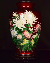 U381 【泉美】特大七宝花瓶 46cm　赤透地 四君子文 花入 花生 花器 台付_画像4