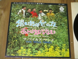  beautiful record wild * one zWILD ONES... is heart. .c/w after .. not EP.... bird ..... rice field .. Watanabe .. Tokai ..