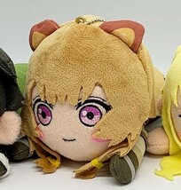 ◆送料無料◆ The Rising of the Shield Hero Raphtalia soft toy figure 盾の勇者の成り上がり ラフタリア 寝そべりぬいぐるみ ぬいぐるみ_画像1