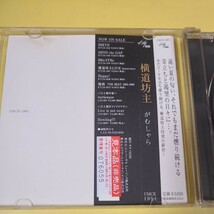 S-788★☆　CD 横道坊主 がむしゃら　プロモーション 非売品　☆★_画像3