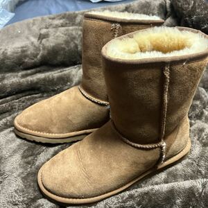 新品同様！UGG クラシックショート　ムートンブーツ24㎝　定価28600円