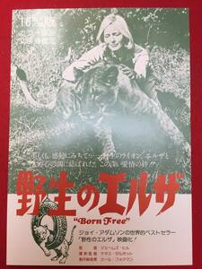 66282『野生のエルザ』16ミリチラシ　ヴァージニア・マッケンナ　ビル・トラヴァース　ジェフリー・キーン　ロバート・ヤング