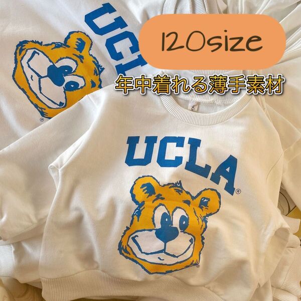 子供服 120 キッズ ロンT トップス 長袖 トレーナー ucla 白 スウェット