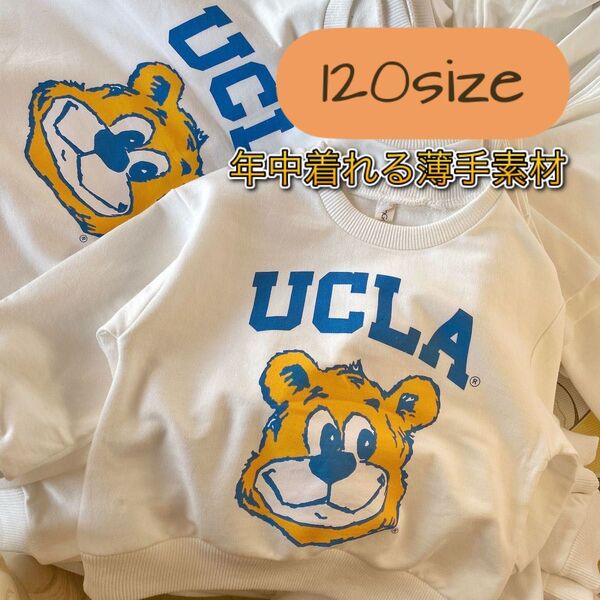  子供服　120 キッズ　ロンT トップス　長袖　トレーナー　ucla 白 スウェット