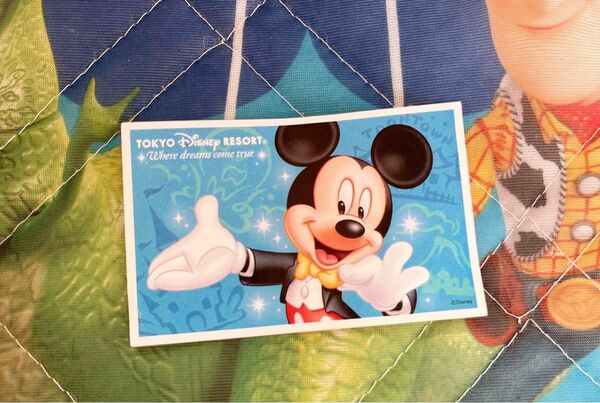 ディズニー チケット Disney ミッキー パスポート 使用済 