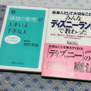 社会人として大切なことはみんなディズニーランドで教わったと新感情の整理が上手い人