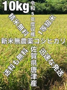 佐賀県産　令和5年度収穫　新米　無農薬コシヒカリ10kg 送料精米無料