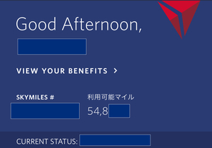 デルタ航空　スカイマイル　54800マイル　口座譲渡