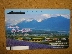 tetu*110-8437 Hokkaido middle . good . block lavender railroad telephone card 