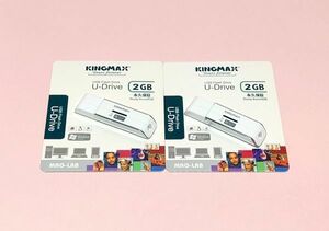 KINGMAX USBフラッシュメモリ2GB ２個セット