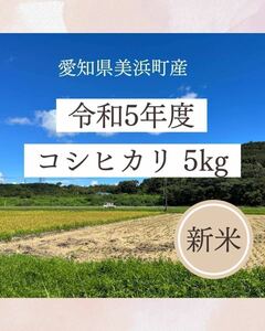 お米5キロ 新米コシヒカリ 愛知県美浜町産 令和5年度 白米