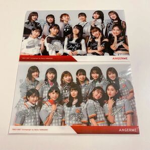 アンジュルム デイリーヤマザキコラボ チケットホルダーファイル 2枚セット