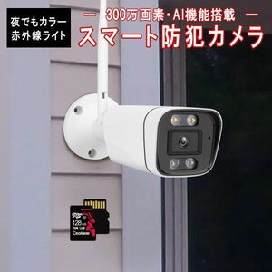  security camera indoor out combined use wireless CS58 SD card 128GB including in a package 2K 1296p 300 ten thousand pixels ONVIF wifi recording moving body detection PSE 6 months guarantee [CS58/SD128.A]