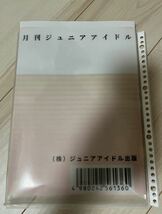 北欧美少女 65人分　　　月刊スーパーidolフォトグラフィ名鑑　_画像2