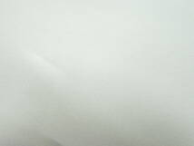 プチカットロール ハーフサイズ (F-25) 朱子 無地 白色 ラムコ 綿 サテン 約57㎝幅×約25ｍ 布 生地 白 ドレス 法被 帯 半幅帯 祭り 安い_画像5