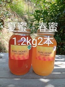 国産 純粋 蜂蜜 生はちみつ 1.2kg　２本　夏蜜　春蜜