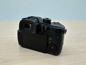 【1円スタート！最低落札なし！】Panasonic LUMIX DC-GH5