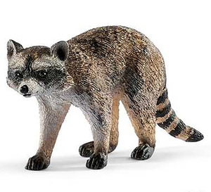 フィギュア アライグマ 14828 Schleich シュライヒ 動物 フィギュア デザイン おもちゃ プレゼント インテリア ミニチュア