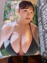 向井地美音、下谷あゆ、奥村梨穂／ヤングマガジン2023年11月20日49号/美品、雑誌1冊です。_画像9