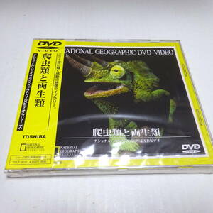 未開封DVD「爬虫類と両生類」ナショナル・ジオグラフィック/生物の進化