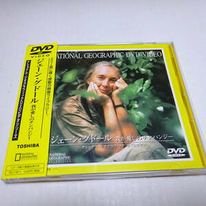 中古DVD「ジェーン・グドール 我が愛しのチンパンジー」ナショナル・ジオグラフィック