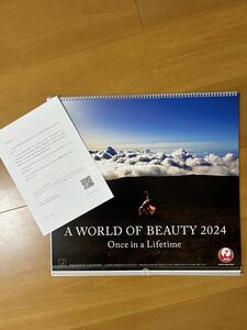 JAL 2024 壁掛けカレンダー　送料無料　ワールド オブ ビューティー (普通版)
