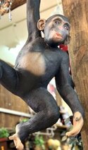 アンティーク調　ハンギングモンキー　釣り下げ式　猿の置物　サルの置物　猿のフィギュア_画像3